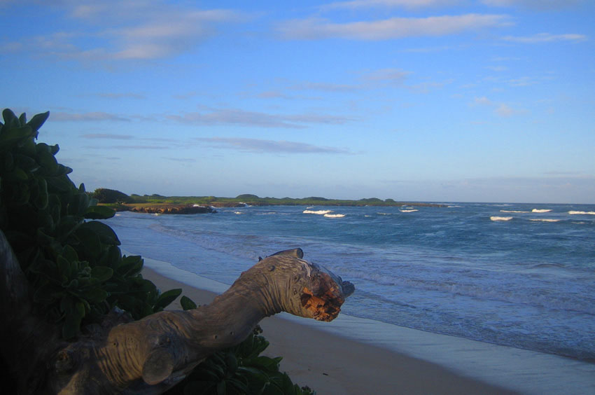While Before Sunset