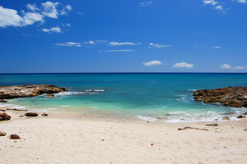 Scenic Cove