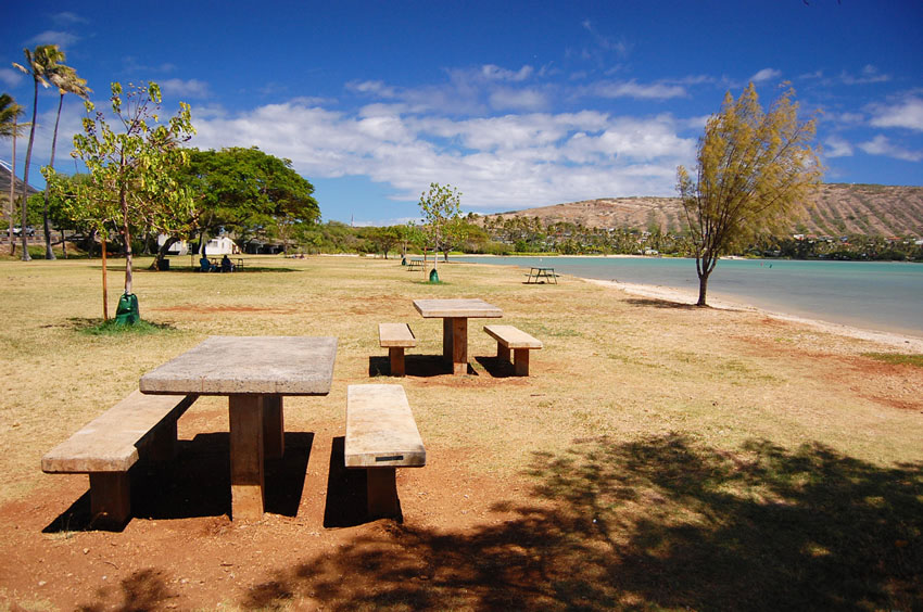 Picnic Area 2
