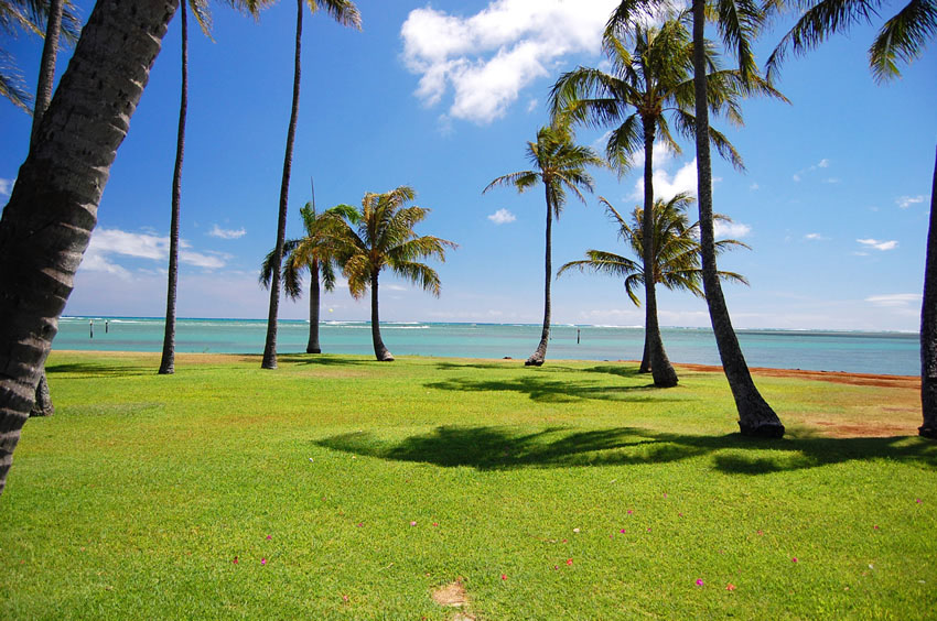 Tropical Park