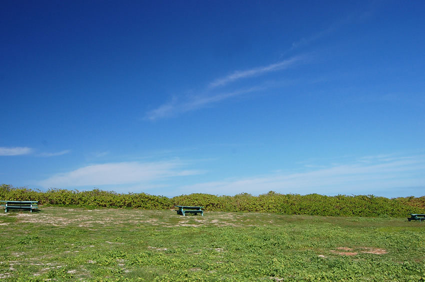 Sunny Picnic Tables