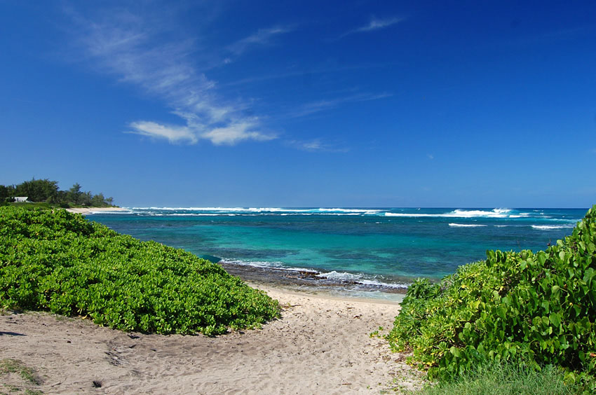 Walkway to the Beach