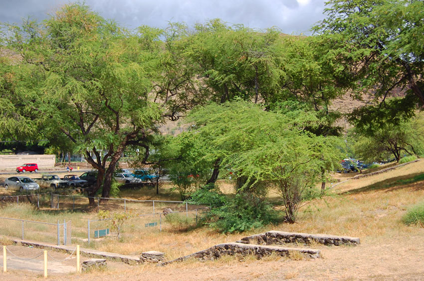 Park Area
