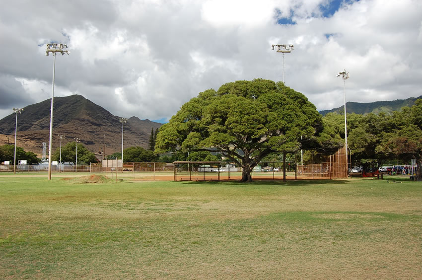 Sports Fields