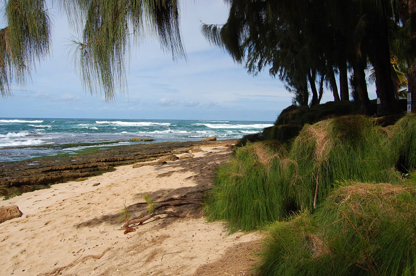 Beachfront Limestone Shelf