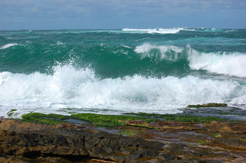 Big Wave Is Coming