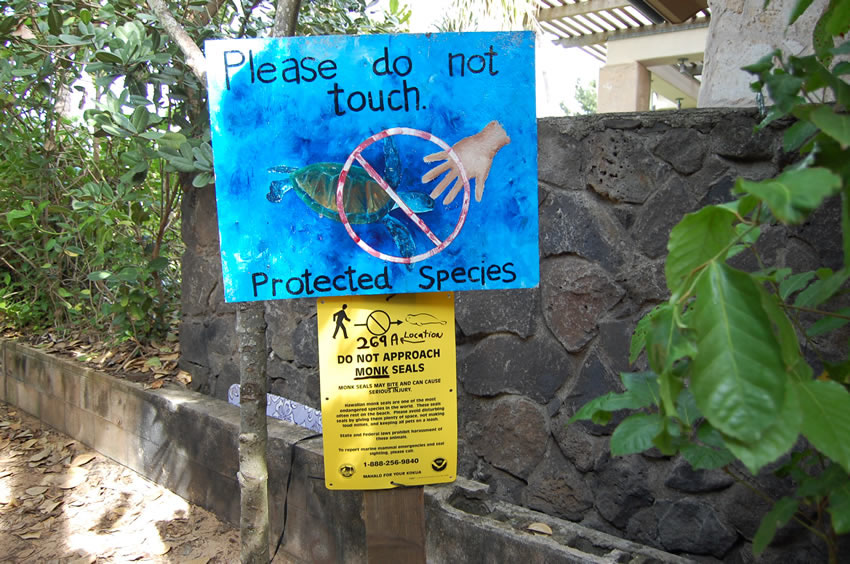 Info to Read Before Entering the Beach