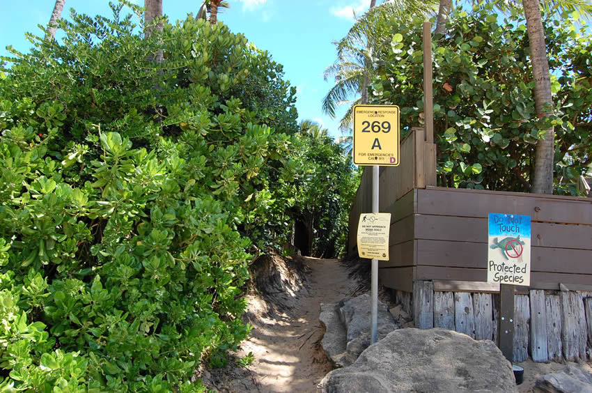 Public Beach Access