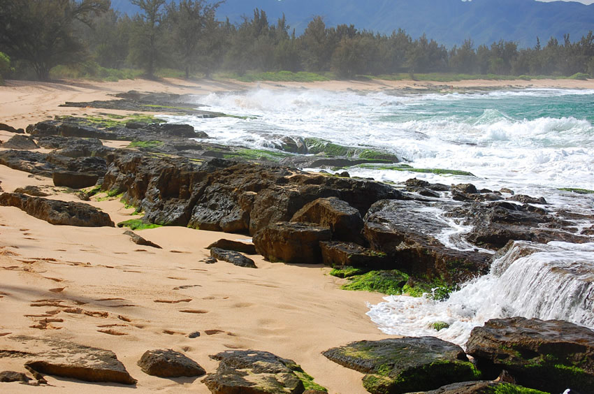 Scenic Shoreline