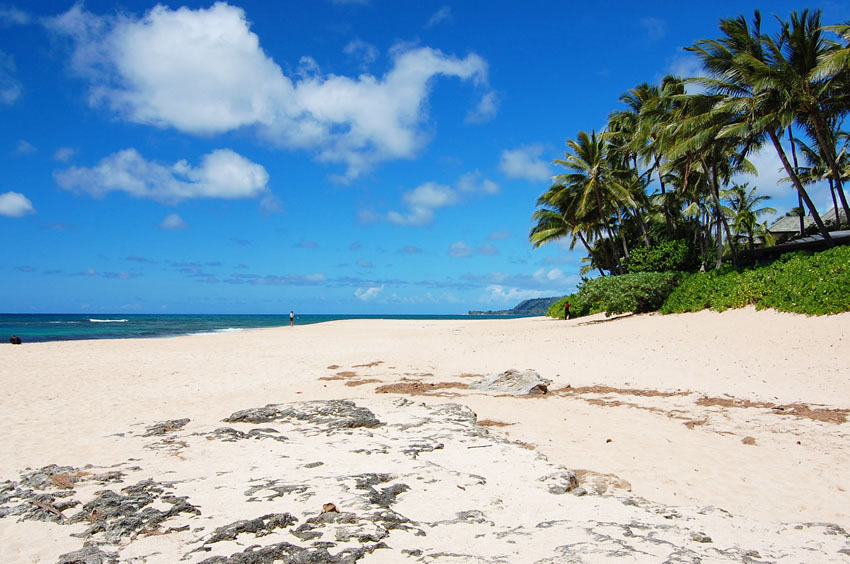 Tropical Beach