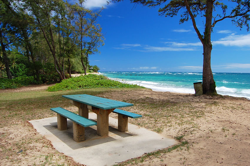 Picnic area at Pounders Beach