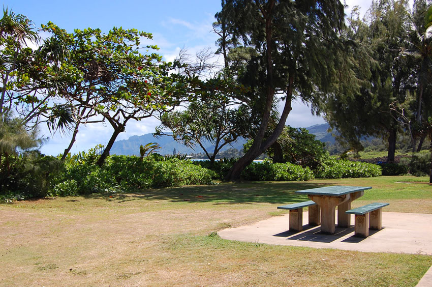 Beachfront Park 2