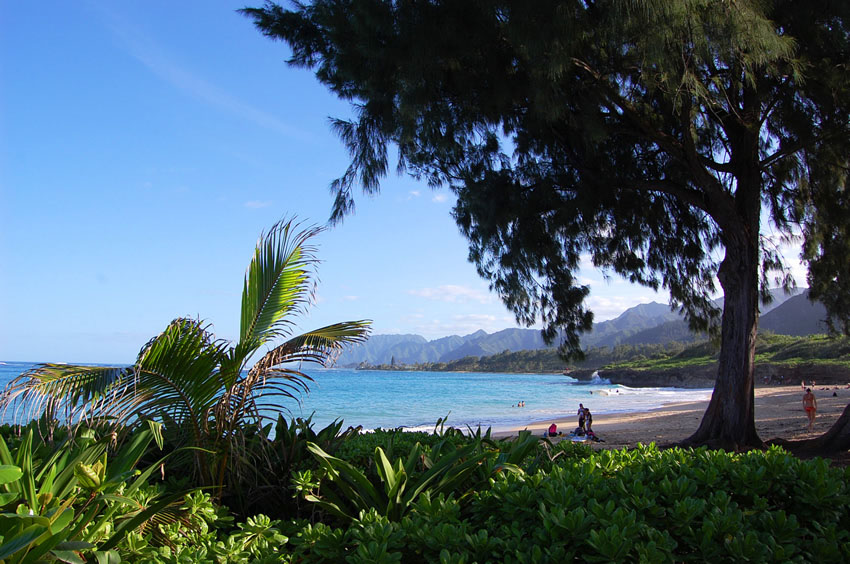 Overlooking Koolau Mountains