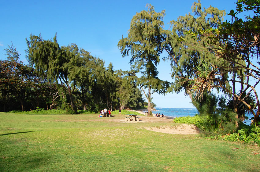 Park Area
