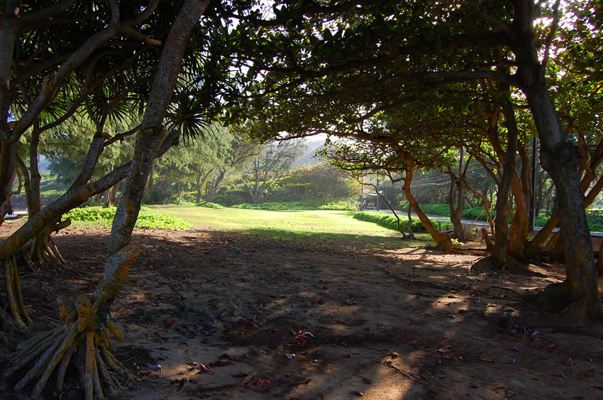 Park Area2
