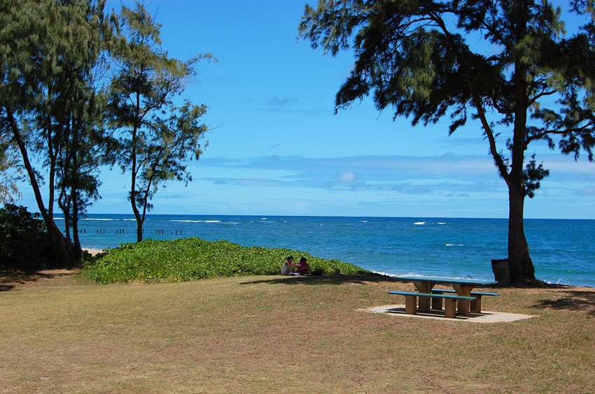 Picnic Area
