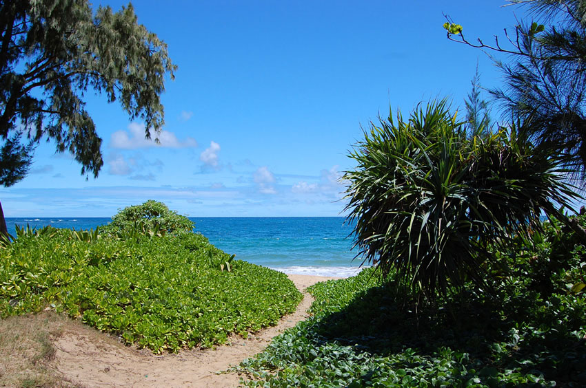 Pounders Beach Park 02