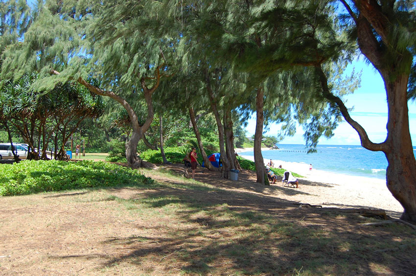 Pounders Beach Park 10