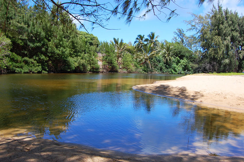 Stream Nearby