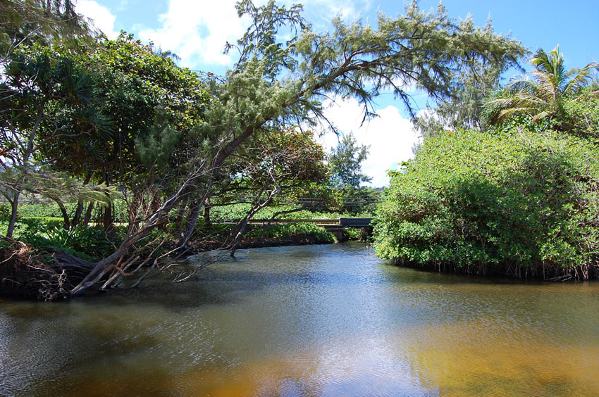 Stream Nearby2