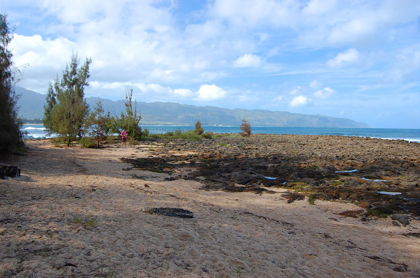 Puaena Point