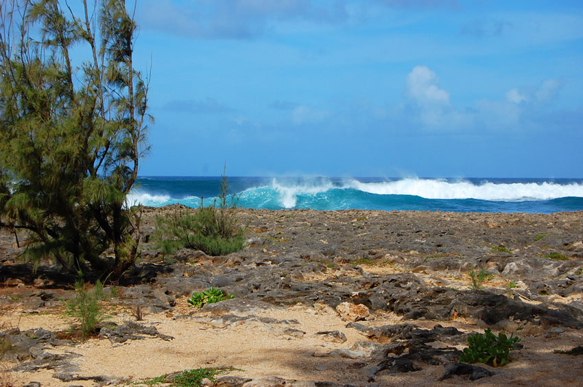 Waves Breaking on Puaena Point