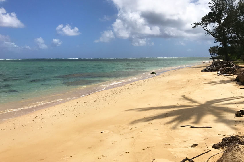 Beach on Oahu's Windward Coast 2