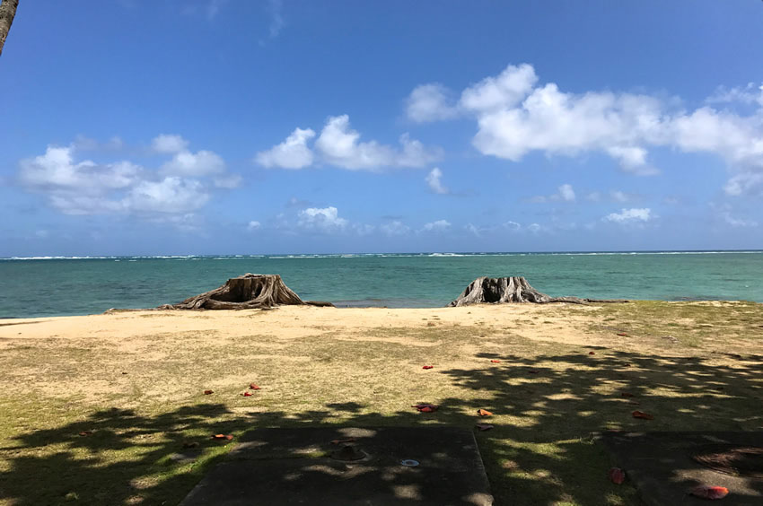 Scenic View