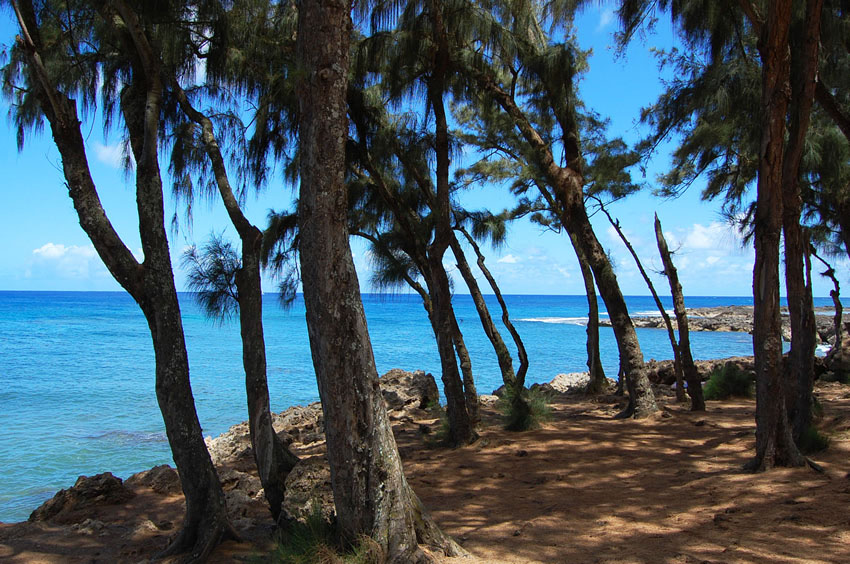 Beach Front Park on Oahu