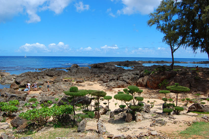 Picturesque Scenery