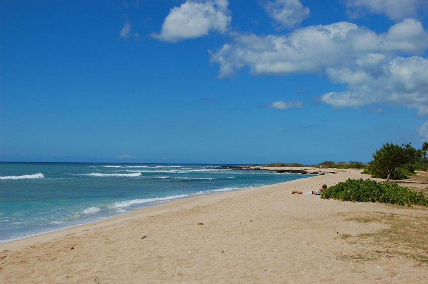 Little Shade on the Beach