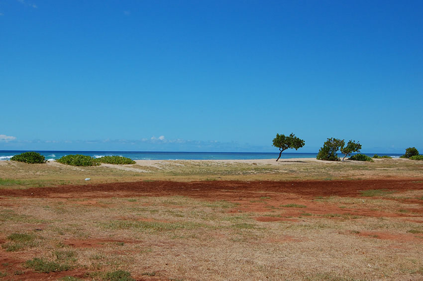 Looking Towards the Ocean from the Park 2