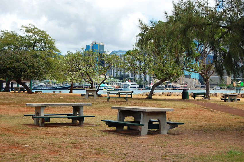Picnic Area with City View