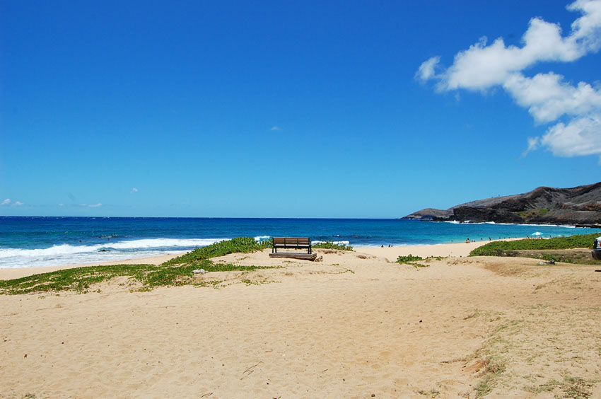 Bench on the Beach