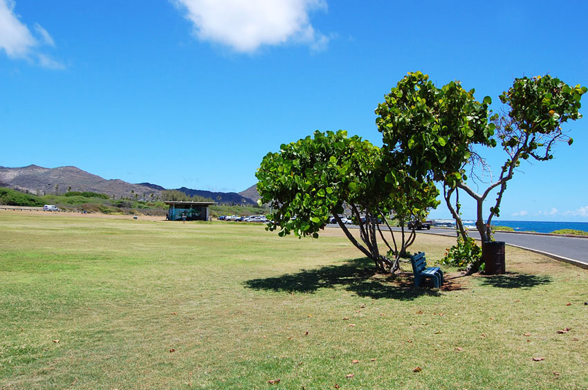 Large Grassy Area
