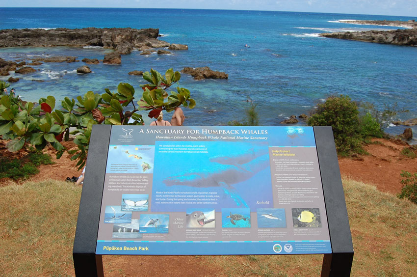 Info Sign
