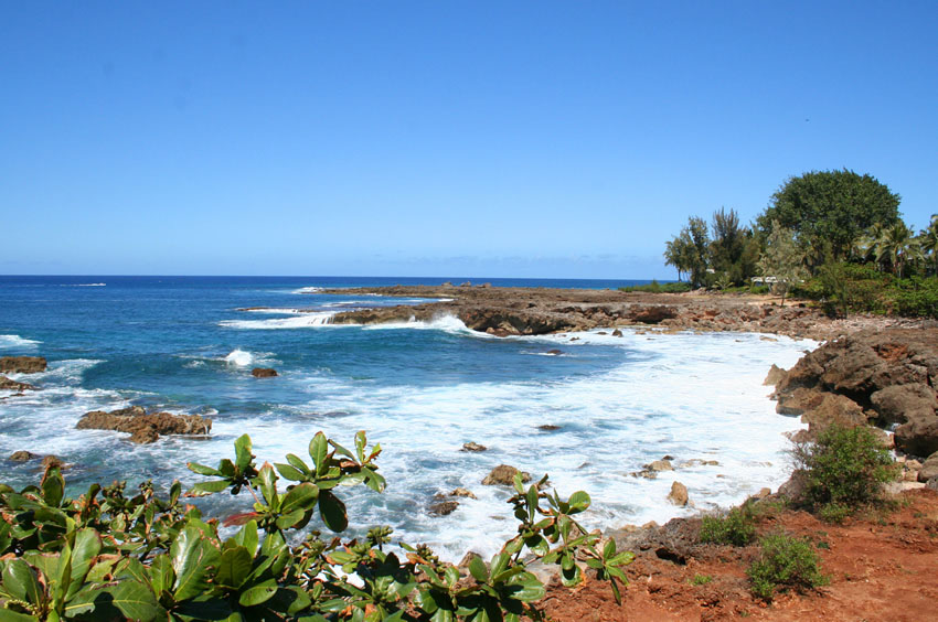 Sharks Cove Beach