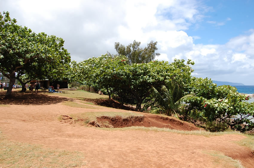 Sharks Cove Park