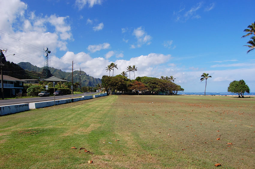 Large Grassy Area