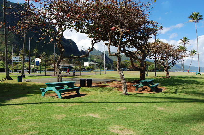 Picnic Tables 2