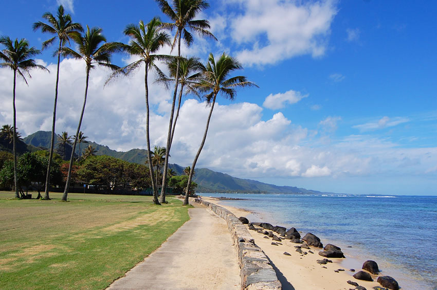 Scenic Shoreline 2