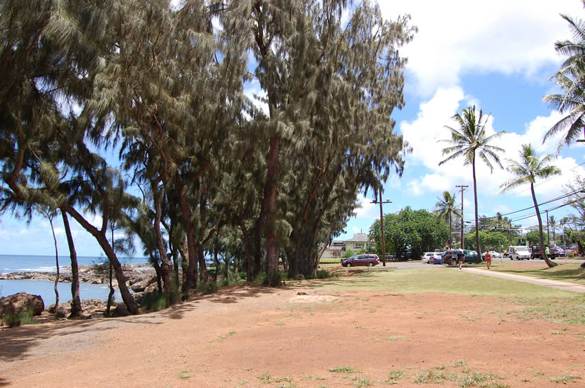 Park Area