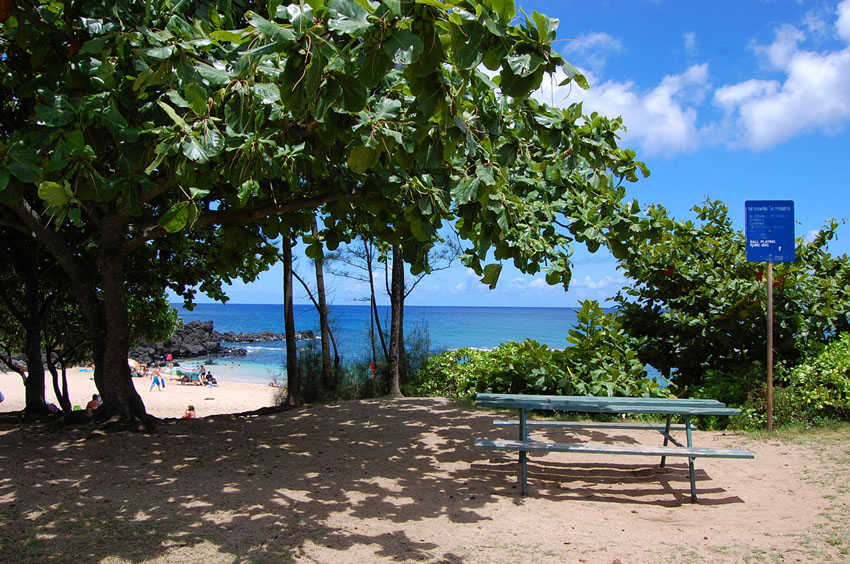 Picnic Area