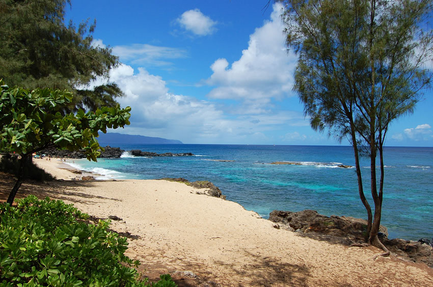 Scenic Oahu North Shore