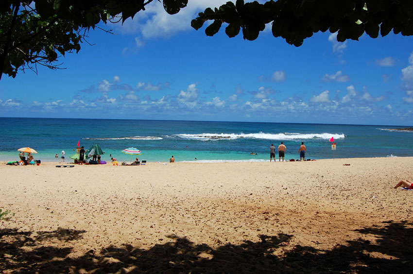 View to the Beach from a Shady Spot