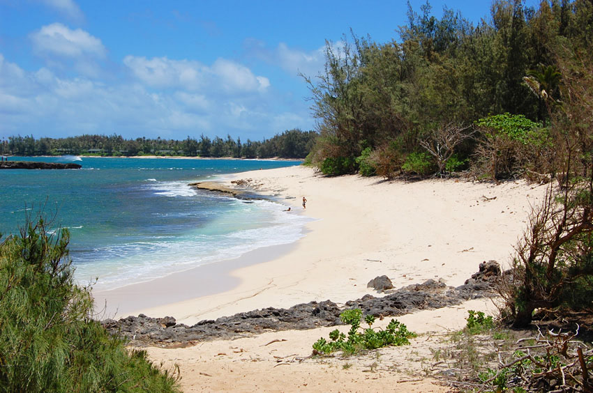 Sandy Area of the Beach