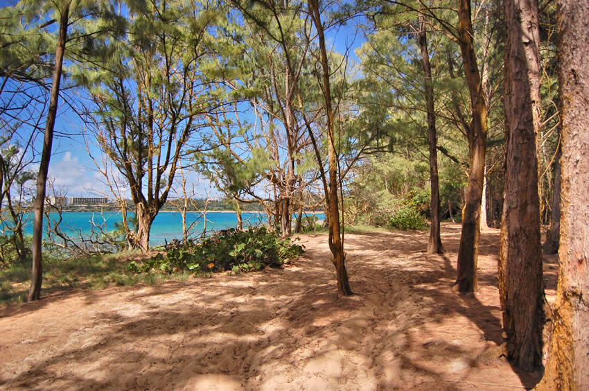 Scenic Hike Along the Shore 2