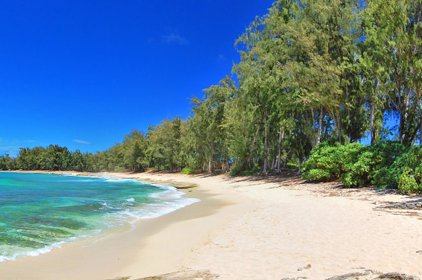 Turtle Bay 1