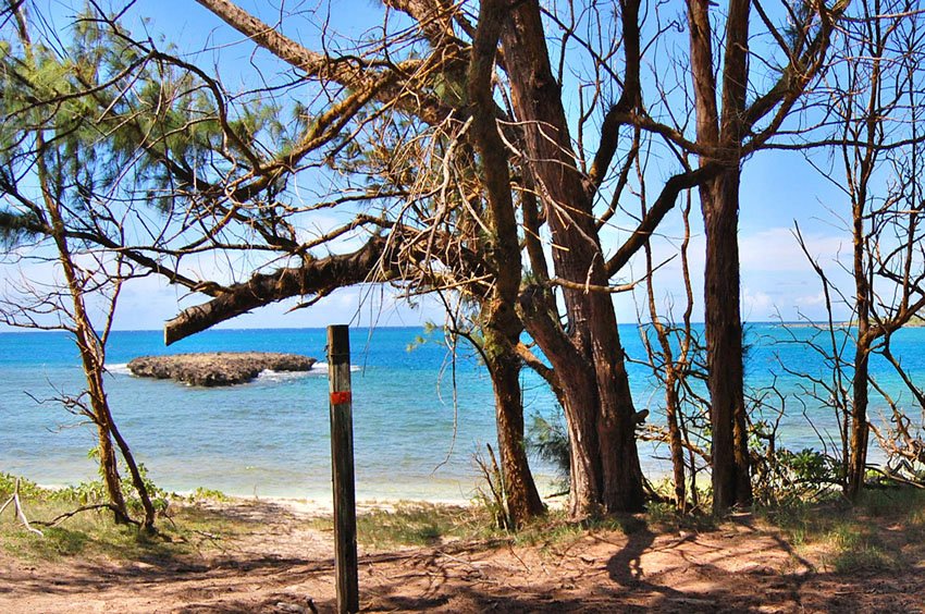 Turtle Bay 2