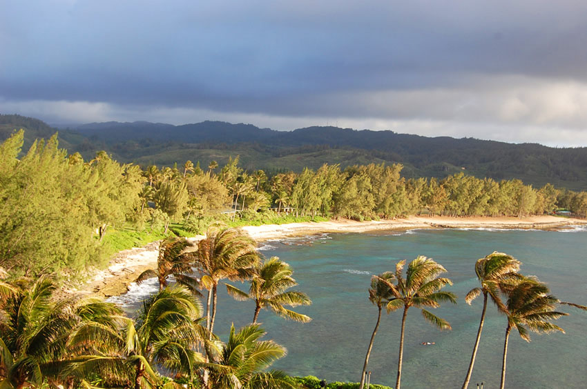 View from a Room in Turtlebay Resort